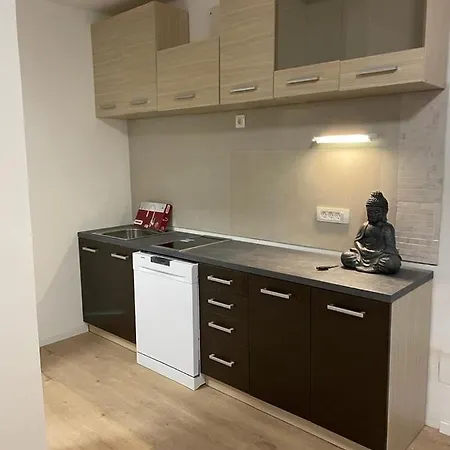 Apartman Igor